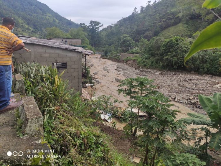 Pánico en el Mocotíes