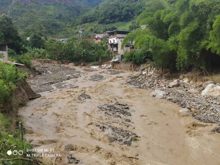 Pánico en el Mocotíes
