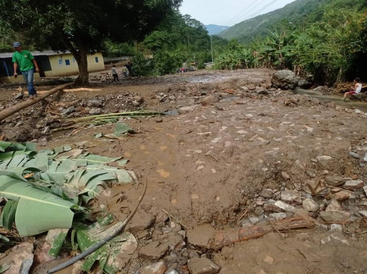 Pánico en el Mocotíes