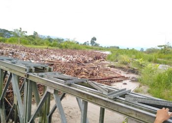El Río Chama se desbordó en La Fortuna y Pueblo Nuevo arruinando zonas plataneras