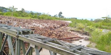 El Río Chama se desbordó en La Fortuna y Pueblo Nuevo arruinando zonas plataneras