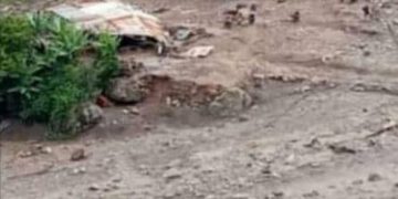 Mérida: Los daños a la vialidad en zonas afectadas son incalculables