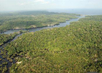 Brasil, la principal reserva hídrica del mundo, «se está secando»