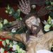 411 años del Santo Cristo del Rostro Sereno de La Grita