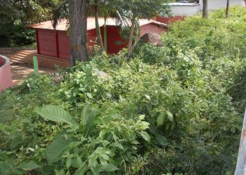Terreno adyacente al Pocito está convertido en montaña