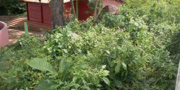 Terreno adyacente al Pocito está convertido en montaña