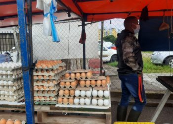 Producción avícola baja en un 80 % y se dispara el precio del cartón de huevos en Táchira