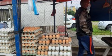 Producción avícola baja en un 80 % y se dispara el precio del cartón de huevos en Táchira