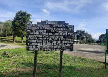 Rehabilitación del Parque Metropolitano incluye iluminación, reforestación y exposición de árboles emblemáticos