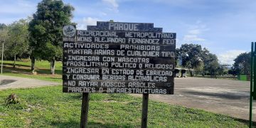 Rehabilitación del Parque Metropolitano incluye iluminación, reforestación y exposición de árboles emblemáticos