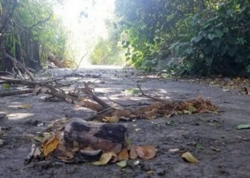 ¿Por qué asesinaron a Enderson Rosales?