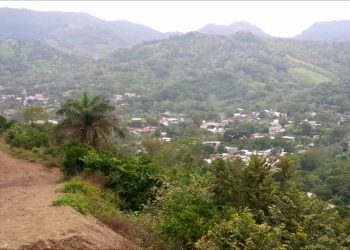 Florecitas de Café en Monte Carmelo | Por: Orlado Rodríguez