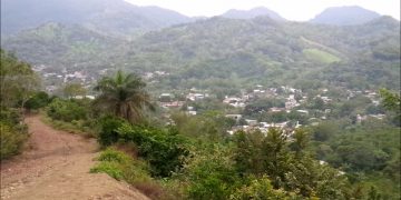 Florecitas de Café en Monte Carmelo | Por: Orlado Rodríguez