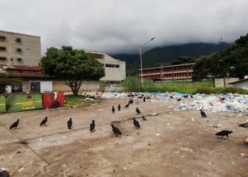 Desechos hospitalarios son tirados en vertederos sin disposición especial en tiempos de COVID-19 (IV)