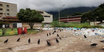 Desechos hospitalarios son tirados en vertederos sin disposición especial en tiempos de COVID-19 (IV)