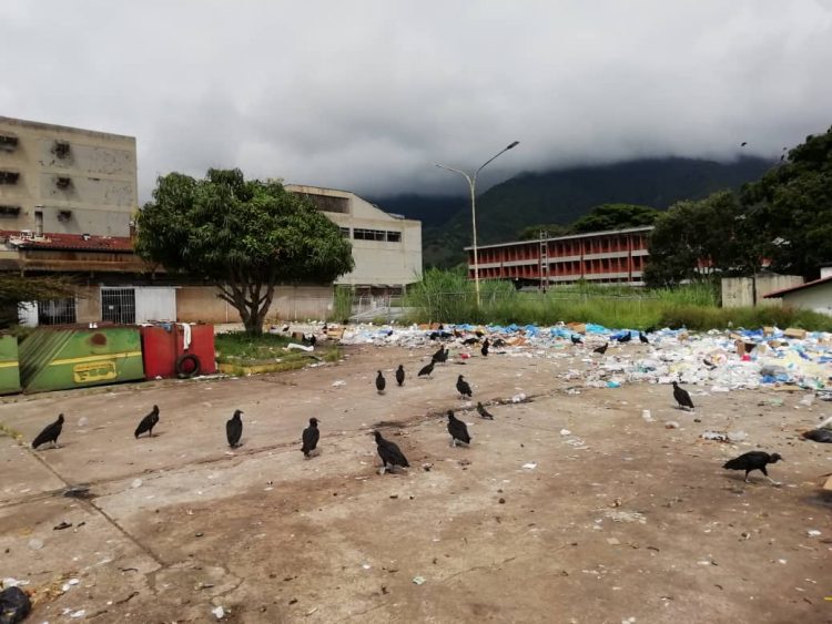 Mérida. Aunque las autoridades aseguran que cumplen con el protocolo establecido, así luce el basurero del Instituto Autónomo Hospital Universitario de Los Andes (Iahula)
Foto Yanara Vivas