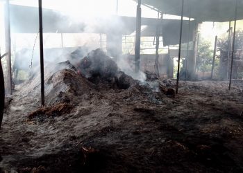 Acondicionan trapiche incendiado el fin de semana en Isnotú