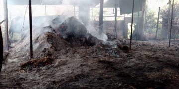 Acondicionan trapiche incendiado el fin de semana en Isnotú