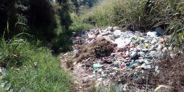 Vía en Isnotú repleta de basura