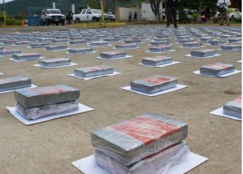 Incautan 227 panelas de cocaína en Lecherías