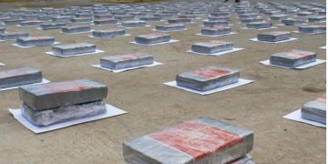 Incautan 227 panelas de cocaína en Lecherías