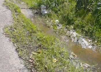 Denuncian contaminación ambiental y sónica en Pirineos II