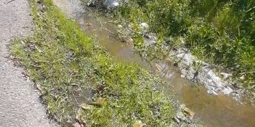 Denuncian contaminación ambiental y sónica en Pirineos II