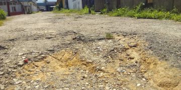 Desidia e incapacidad van de la mano por las calles de «Don Alfredo»