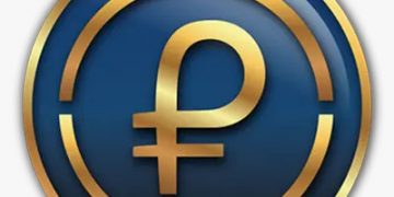 Cámara Municipal de Libertador confirma el Petro como unidad para cobro de impuestos