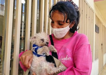 20 animales de Boconó necesitan apadrinamiento para esterilizarse