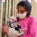20 animales de Boconó necesitan apadrinamiento para esterilizarse