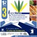 III Expoferia de Emprendedores del 2 al 4 de septiembre en Mérida