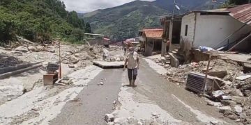 Alex Vallenilla: Cifras del oficialismo sobre atención en Mocotíes son politiquería