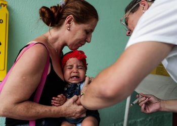 Médicos exhortan al Gobierno a vacunar contra la fiebre amarilla