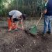 Culminan jornadas de limpieza y desmalezamiento en Bella  Vista