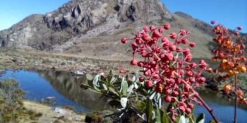 El misticismo del Santuario Indígena Maen Shombuk | Por: Oswaldo Manrique Ramírez