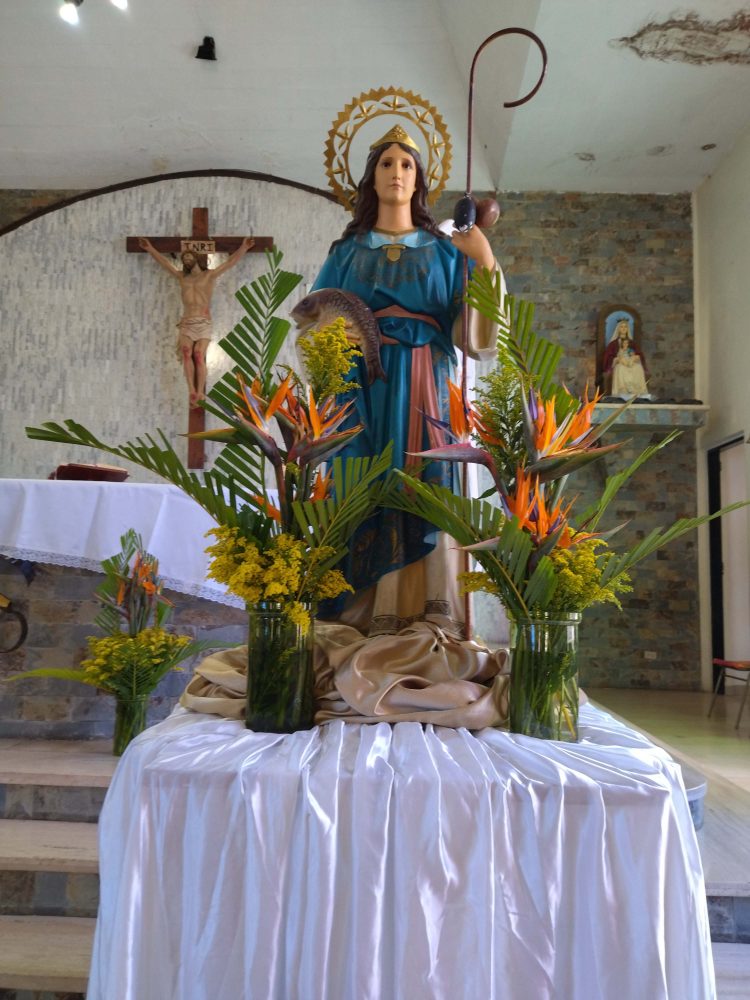 Tres Solemnidades realizarán en honor al Patrono de Carvajal