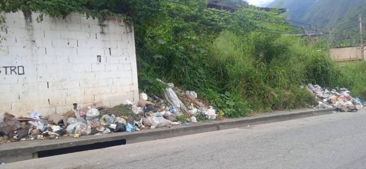 Vía La Arboleda en total abandono entre huecos y basura desbordada