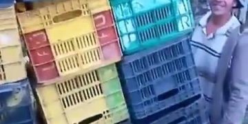 Con ingenio, productores del campo merideño enfrentan dificultades