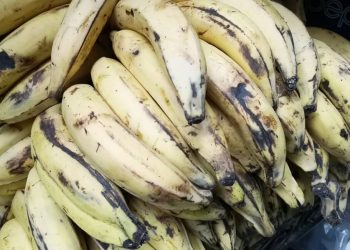 Productores del Sur del Lago aseguran ser robados por sus propios vecinos