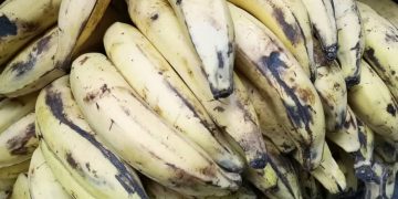 Productores del Sur del Lago aseguran ser robados por sus propios vecinos