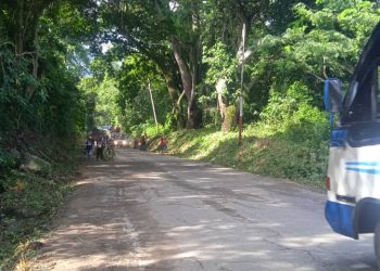 Milicia realiza limpieza y desmalezamiento de La Bajada del Río