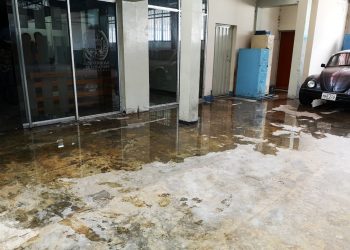 Dependencias ULA en Núcleo Los Chorros se unen para recuperar sus espacios