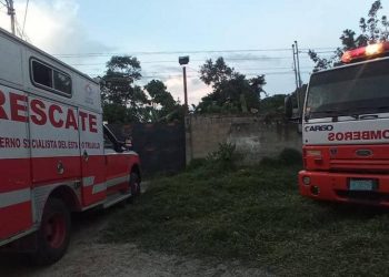 Electrocutado hombre cuando podaba un árbol