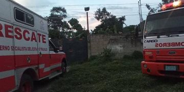 Electrocutado hombre cuando podaba un árbol