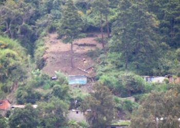 Tala y deforestación en La Puerta ponen en peligro las montañas y áreas de protección forestal