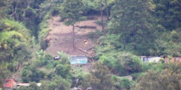 Tala y deforestación en La Puerta ponen en peligro las montañas y áreas de protección forestal