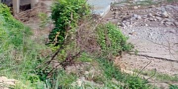 Incomunicados Horcón Norte con Horcón Sur por crecidas de la Vichú