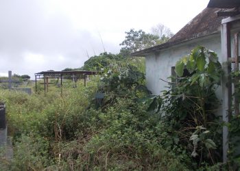 Panamericana | En completo abandono Cementerio de Betijoque