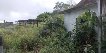 Panamericana | En completo abandono Cementerio de Betijoque